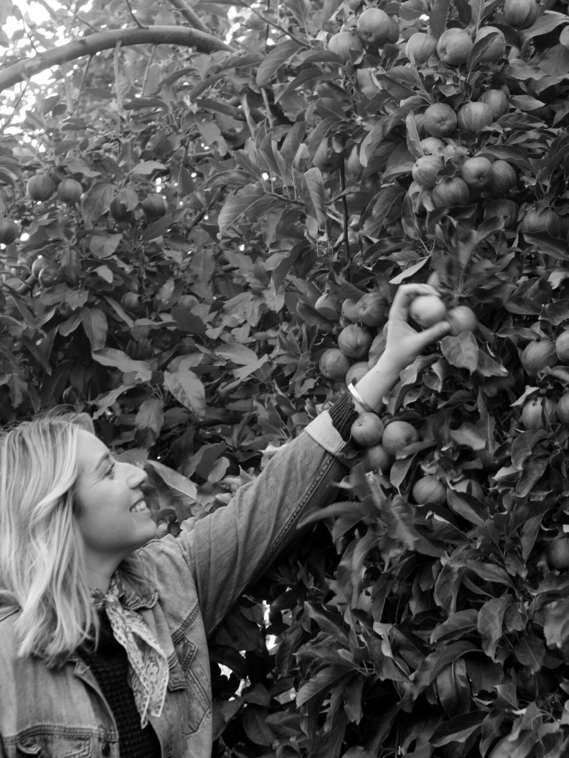 Exploring Green Bluff With McInturff & Co.